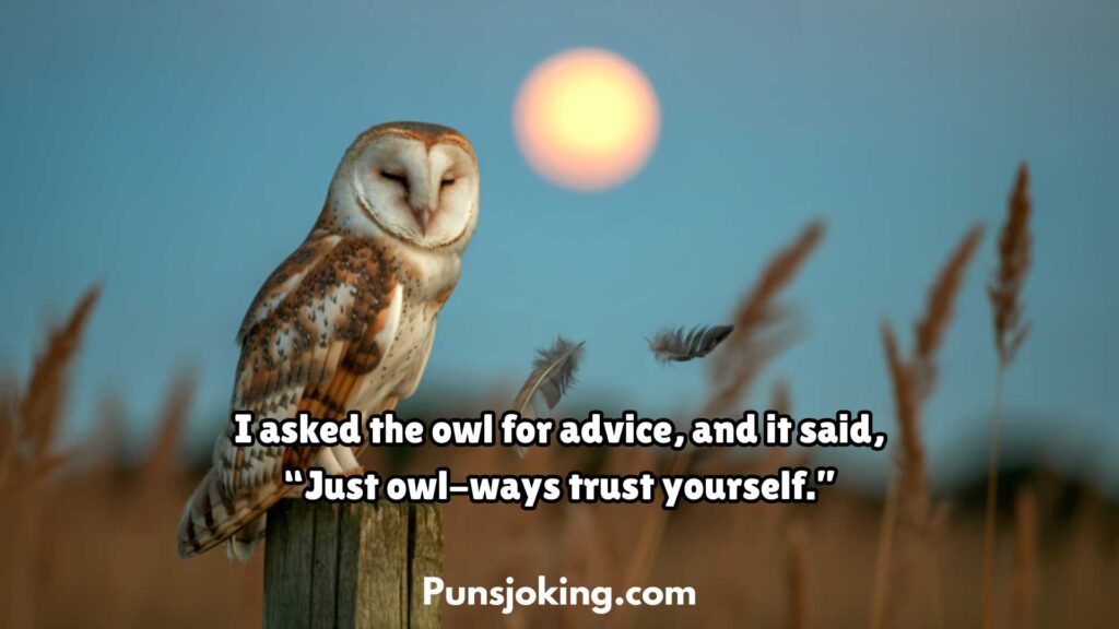 Funny Owl Puns Everyone Will Enjoy
