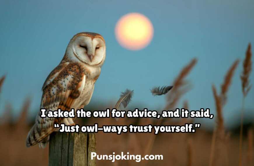 Funny Owl Puns Everyone Will Enjoy