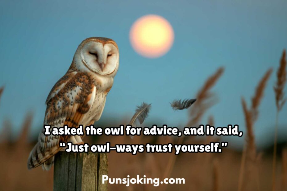 Funny Owl Puns Everyone Will Enjoy