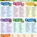An infographic image for funny turtule names