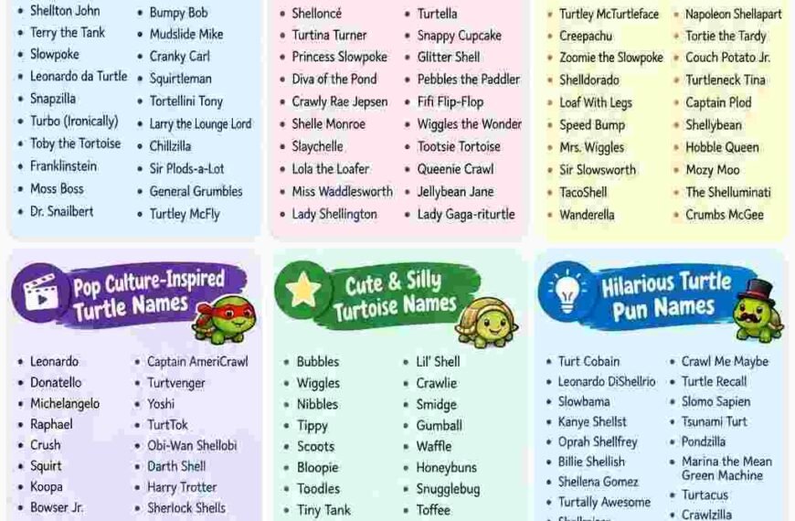An infographic image for funny turtule names
