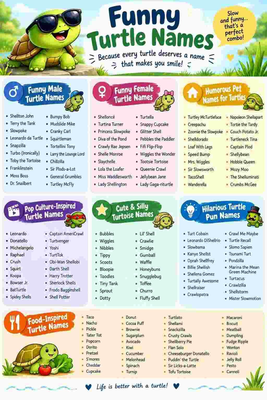 An infographic image for funny turtule names